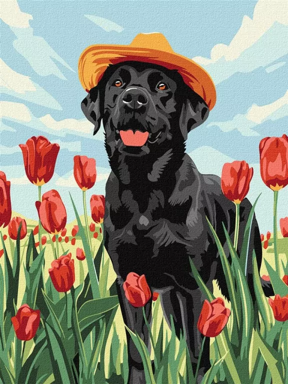 Malowanie po numerach. Uroczy labrador - tantis.pl