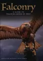 Falconry - tantis.pl