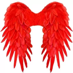 Czerwone skrzydła naturalne pióra
