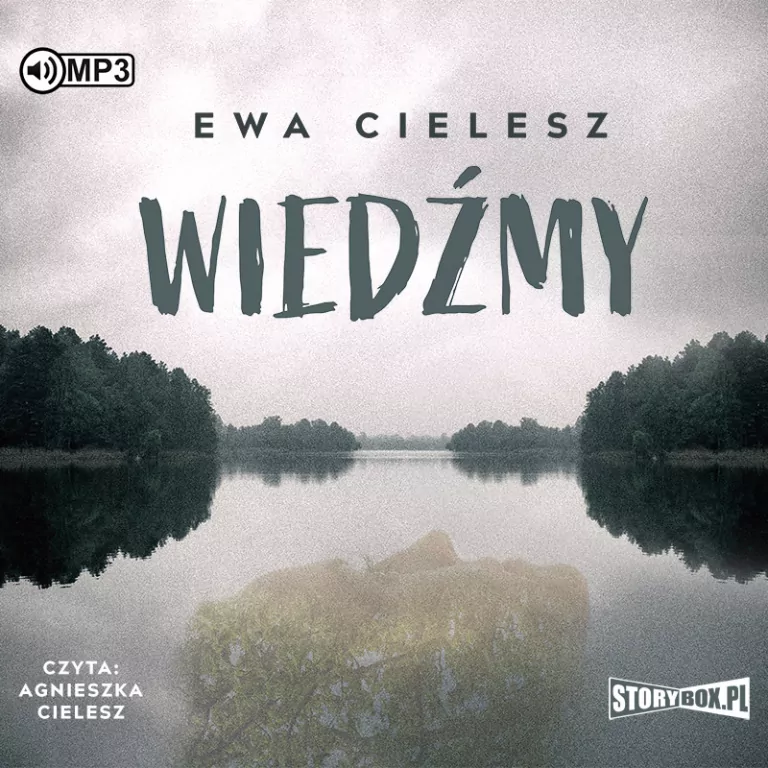 Wiedźmy. Audiobook - tantis.pl