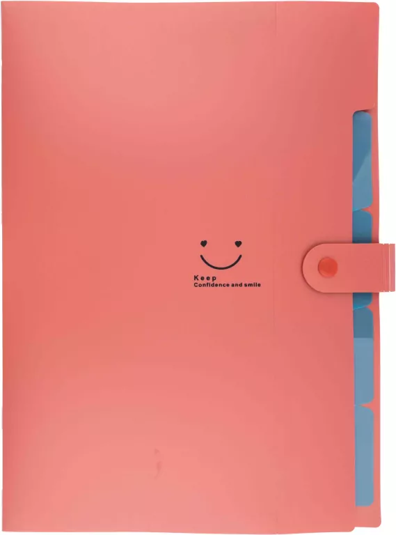 Teczka plastikowa A4 z 5 przegródkami czerwona - tantis.pl