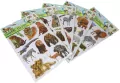 Naklejki 3D na ścianę zierzęta MIX - tantis.pl