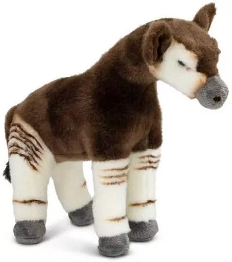 Okapi - tantis.pl