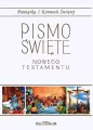 Pismo Święte Nowego Testamentu. Duży format - tantis.pl