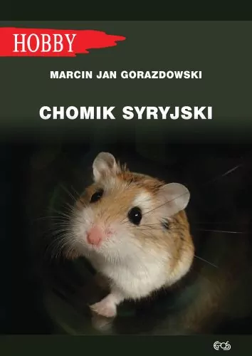 Chomik syryjski - tantis.pl