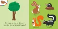 Mój kolorowy quiz. Las - tantis.pl