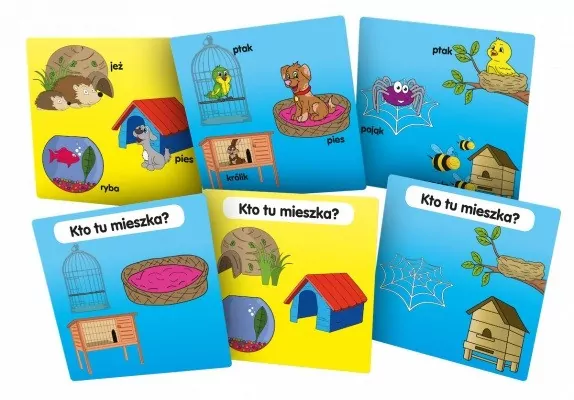 BrainBox - Poznaję domy zwierząt - tantis.pl