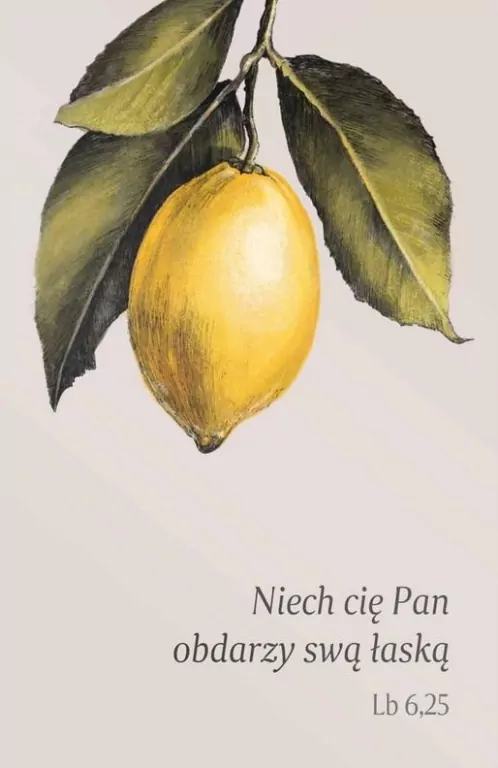 Magnes na lodówkę. Niech cię Pan obdarzy swą łaską - tantis.pl
