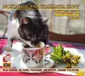 Nostalgiczna filiżanka kawy Vol.9 CD - tantis.pl