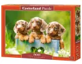 Puzzle 500. Cute Dachshunds - tantis.pl