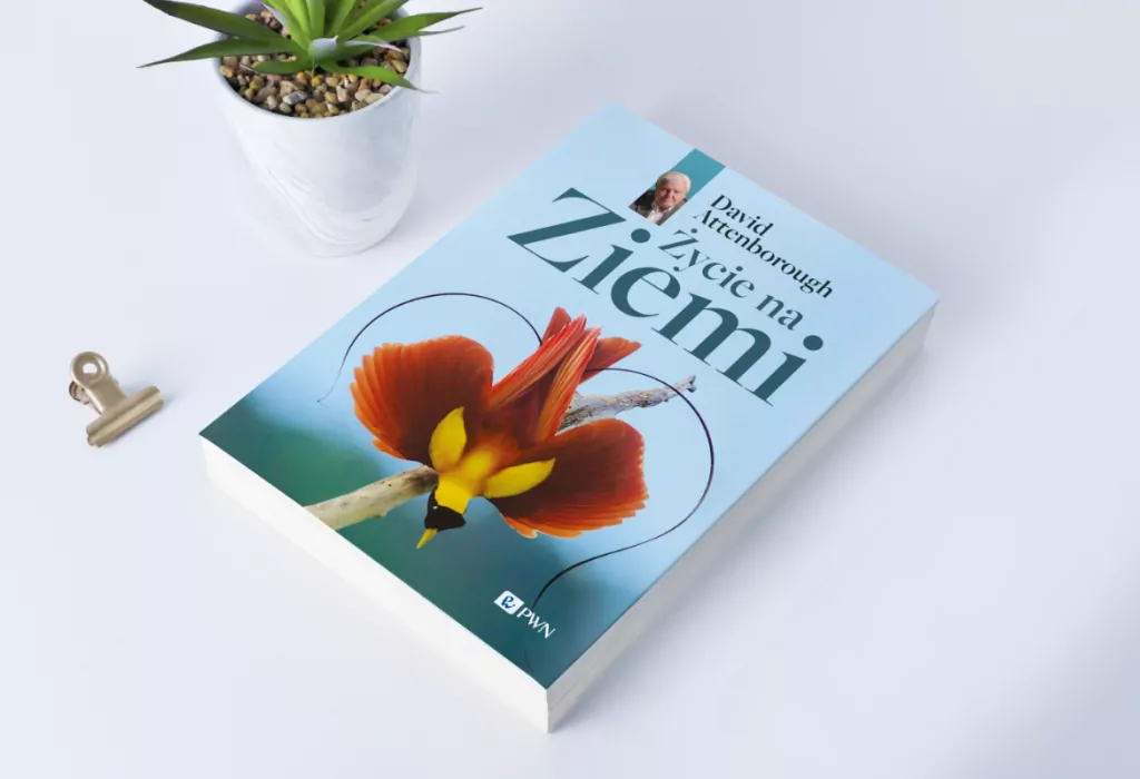 Życie na Ziemi - tantis.pl