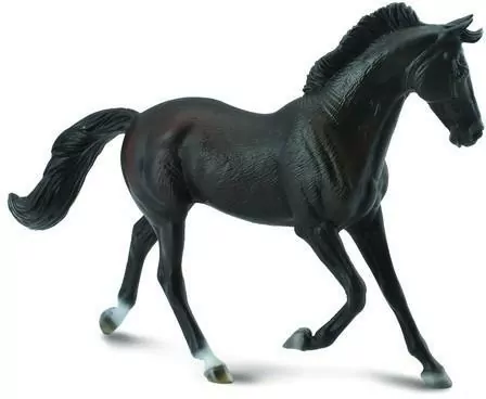 Klacz Thoroughbred maści czarnej - tantis.pl
