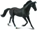 Klacz Thoroughbred maści czarnej - tantis.pl