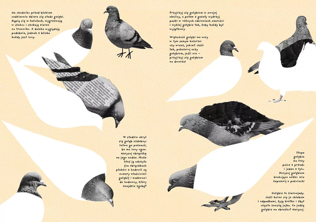 Działka. Ćwiczenia przyrodnicze dla pięciolatków - tantis.pl