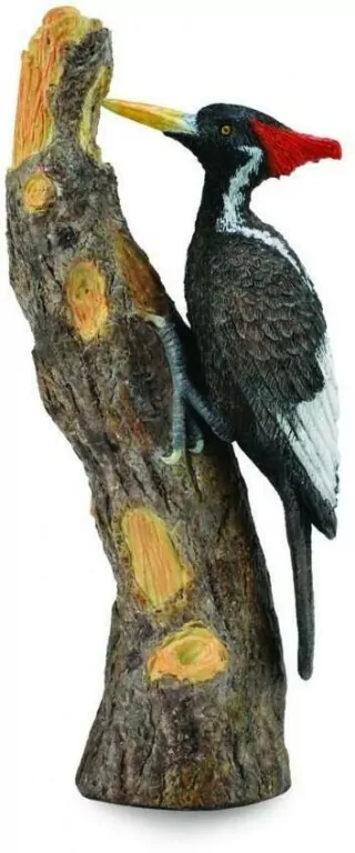 Dzięcioł Wielkodzioby L - tantis.pl