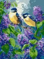 Malowanie po numerach - Wiosenny duet 30x40cm - tantis.pl