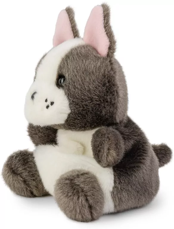Maskotka French Bulldog - tantis.pl