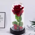 Wieczna Róża w Kopule z Oświetleniem LED - tantis.pl