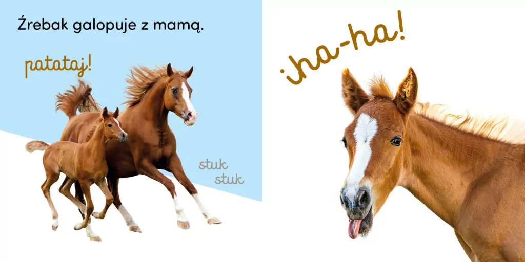 Powiedz hau! - tantis.pl