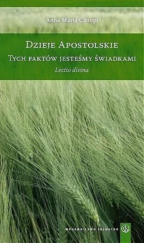 Dzieje Apostolskie. Tych faktów jesteśmy świadkami - tantis.pl
