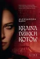 Kraina dzikich kotów - tantis.pl