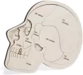 Puzzle drewniane - Urwanie głowy - tantis.pl