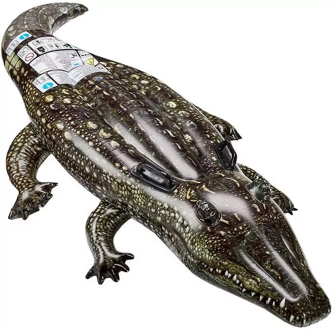 Aligator do pływania - tantis.pl