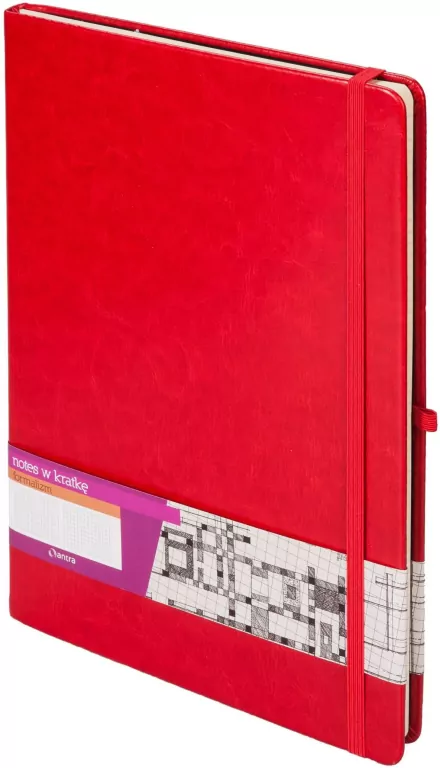 Notes A4 Kratka Formalizm Czerwony ANTRA - tantis.pl