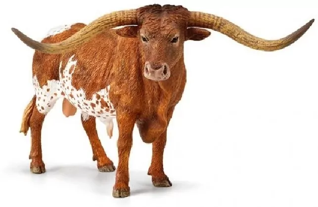 Byk Texas Longhorn - tantis.pl