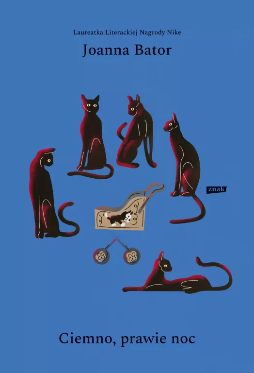 Ciemno, prawie noc - tantis.pl