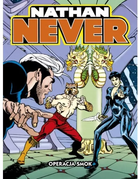 Nathan Never. Operacja smok - tantis.pl