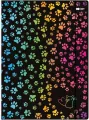 Teczka A4+ z gumką Miaow HAPPY COLOR - tantis.pl