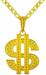 Naszyjnik z dolarem
