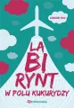 Labirynt w polu kukurydzy - tantis.pl