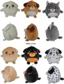 Pies kula 15cm MIX - tantis.pl