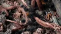 Gamers Grass: Grass tufts - 6 mm - Alien Void (Wild) - tantis.pl