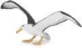 Albatros - tantis.pl