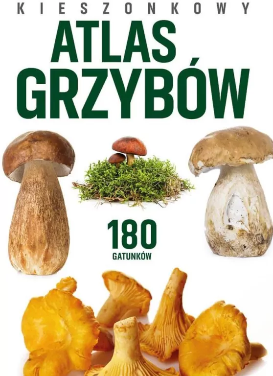 Kieszonkowy atlas grzybów - tantis.pl