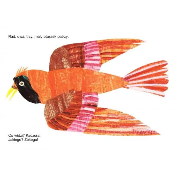 Miś patrzy! - tantis.pl