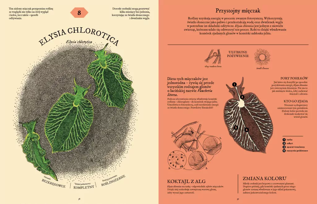 Jak to strawić? Tajemnice układu pokarmowego zwierząt - tantis.pl