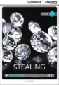 Stealing High Beginning Book with Online Acces - tantis.pl