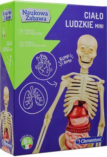 Ciało ludzkie mini. Naukowa zabawa - tantis.pl