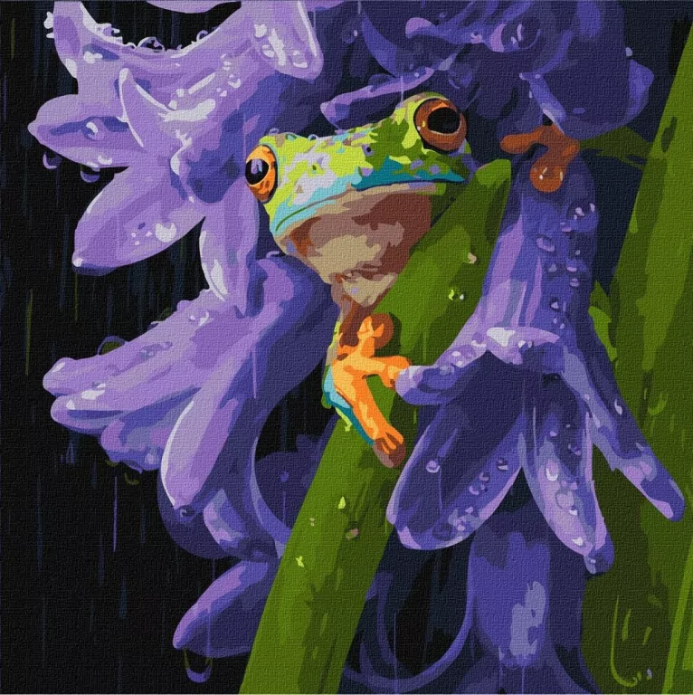 Malowanie po numerach - Żabka w deszczu 40x40cm - tantis.pl