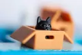 Cats & Boxes. Smart Games - tantis.pl