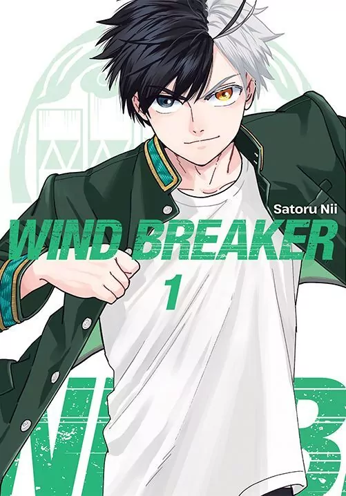 Wind Breaker. Tom 1 - tantis.pl