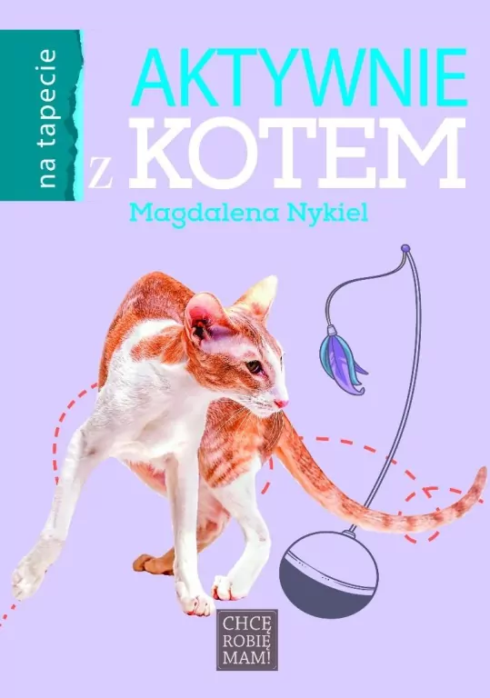 Aktywnie z kotem - tantis.pl