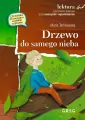 Drzewo do samego nieba - tantis.pl