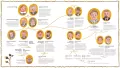 Ładna historia! - tantis.pl