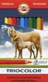 Kredki Triocolor. 24 kolory - tantis.pl