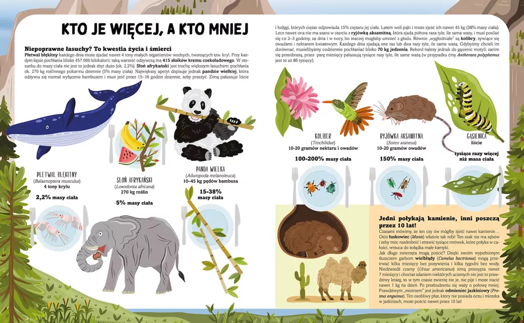 Ile waży dinozaur? Wielkie pomiary świata - tantis.pl